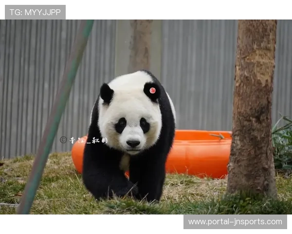 电竞选手体验本地文化,大熊猫与美食成焦点 电竞选手体验本地文化,大熊猫与美食成焦点